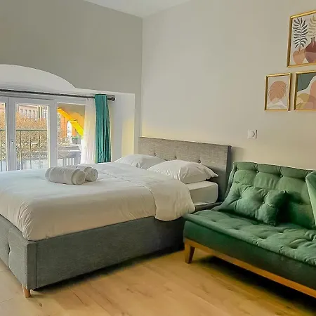 Apartament Cosy Center Tuluza