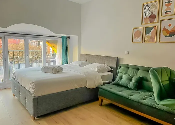 Apartament Cosy Center Tuluza